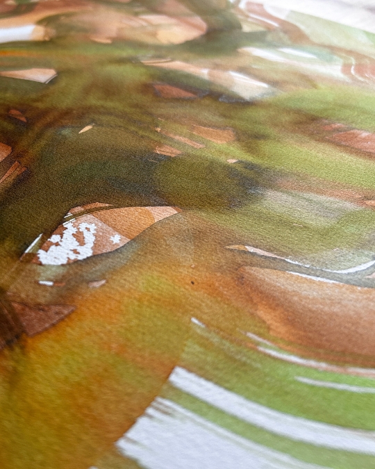 Seguir el Pincel (4)